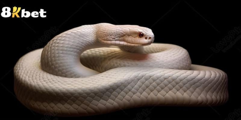 Cần chú ý nguồn năng lượng xấu từ giấc mơ