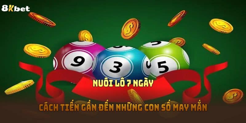 Nuôi Lô 7 Ngày - Cách Tiến Gần Đến Những Con Số May Mắn