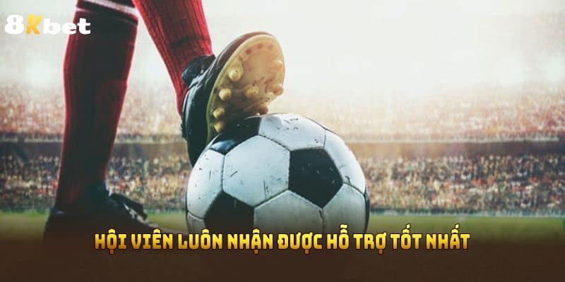 Hội viên luôn nhận được hỗ trợ tốt nhất