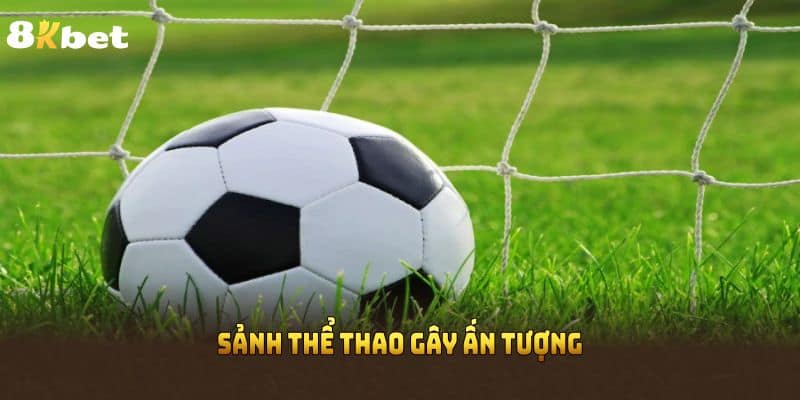 Sảnh Thể Thao gây ấn tượng bởi dịch vụ tốt